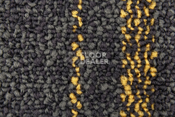 Neuflor Pebble 2010-13 + Gold фото 2 | FLOORDEALER