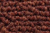 Art Intervention Коллекция Creative Spark Creative Spark 362 фото 3 | FLOORDEALER