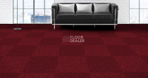 Alfa Alfa 202 фото 2 | FLOORDEALER