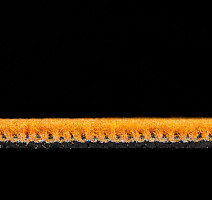 ESCOM Color Play - Spot 22118 фото 3 | FLOORDEALER