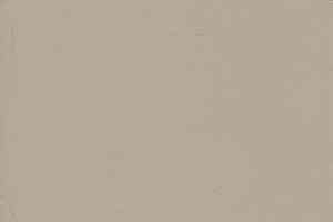 Линолеум Grabo Muravyl 2272 фото  | FLOORDEALER