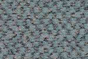 Ковролин Balsan Carrousel Carrousel 915 фото  | FLOORDEALER