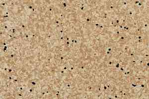 Линолеум Apoluza SportFloor PVC Jiajing BXJJ8015 фото  | FLOORDEALER