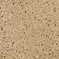 Линолеум Apoluza SportFloor PVC Jiajing BXJJ8015 фото 1 | FLOORDEALER