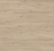 Ламинат Haro Tritty 100 Campus 4V Дуб Контура Каменно-Серый 532066 фото 1 | FLOORDEALER