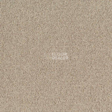 Ковровая плитка Desso Palatino 1321 фото 1 | FLOORDEALER