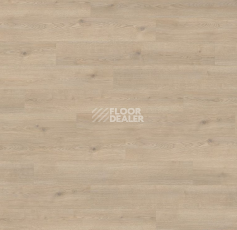 Ламинат Haro Tritty 100 Campus 4V Дуб Контура Каменно-Серый 532066 фото 1 | FLOORDEALER