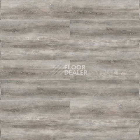 Evofloor Life Click 4.2мм Дуб Корсика фото 3 | FLOORDEALER