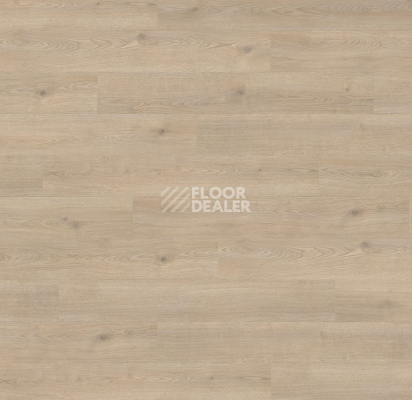 Ламинат Haro Tritty 100 Campus 4V Дуб Контура Каменно-Серый 532066 фото 1 | FLOORDEALER