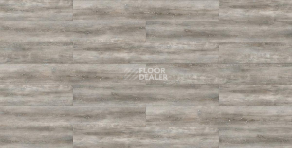 Evofloor Life Click 4.2мм Дуб Корсика фото 3 | FLOORDEALER