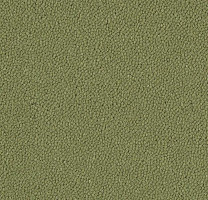 Ковровая плитка Westbond Ibond зеленая гамма 9596 фото 1 | FLOORDEALER