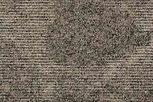 Ковровая плитка Betap Lake / Planks 91 фото  | FLOORDEALER