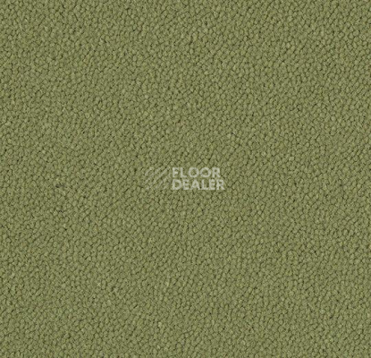 Ковровая плитка Westbond Ibond зеленая гамма 9596 фото 1 | FLOORDEALER