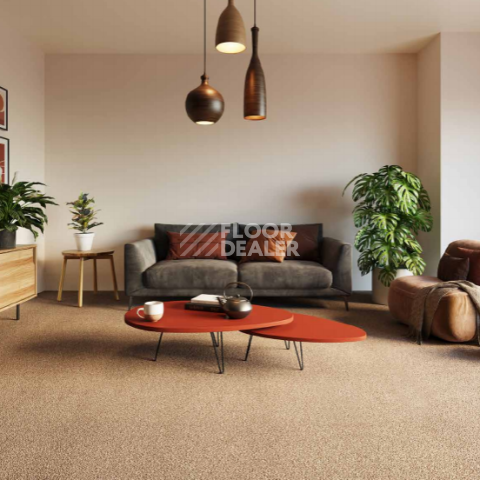 AW Terra 42 фото 2 | FLOORDEALER
