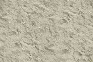 Ковролин Ege Highline Nature rf 52202916 фото  | FLOORDEALER