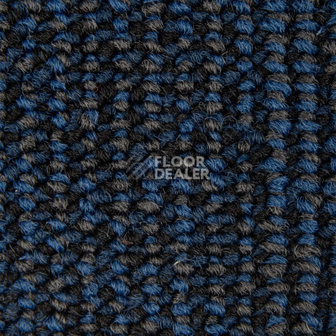 Escom Coral 5408 фото 3 | FLOORDEALER