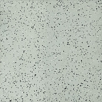 Линолеум Tarkett iq Era sc 805 фото 1 | FLOORDEALER