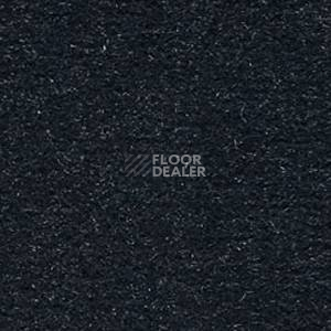 Ковролин Infloor Cosmos 571 фото 1 | FLOORDEALER