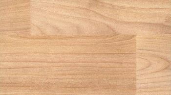 Линолеум Taraflex evolution Wood 6350_Light_Cherry_Design фото 1 | FLOORDEALER