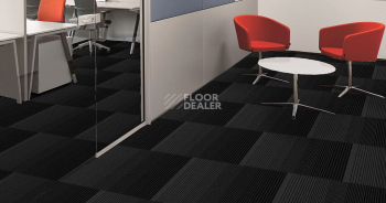 Ambient Ambient 575 фото 2 | FLOORDEALER