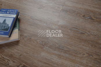 Evofloor Optima Click 4.2мм Дуб Бронза фото 5 | FLOORDEALER