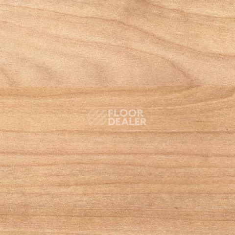 Линолеум Gerflor Taraflex evolution Wood 6350_Light_Cherry_Design фото 1 | FLOORDEALER