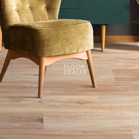 Wood Xl Oak  Gekalte New фото 3 | FLOORDEALER