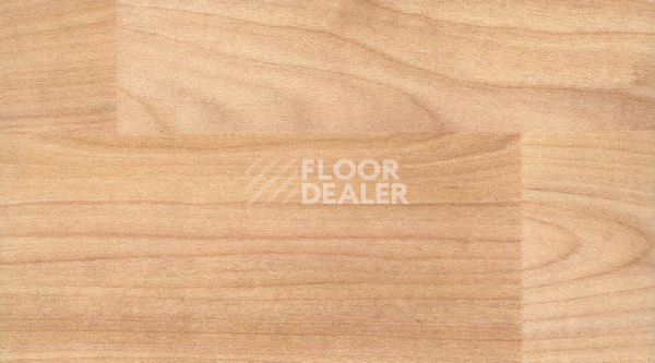 Линолеум Gerflor Taraflex evolution Wood 6350_Light_Cherry_Design фото 1 | FLOORDEALER