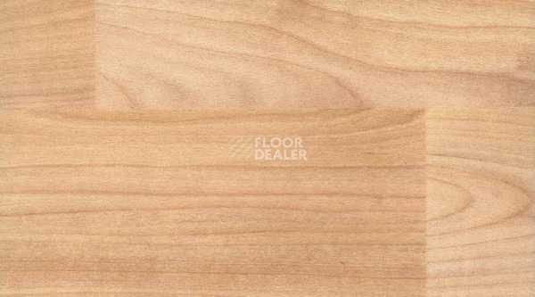 Линолеум Taraflex evolution Wood 6350_Light_Cherry_Design фото 1 | FLOORDEALER
