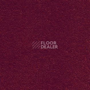 Ковролин AW Sirene 10 фото 1 | FLOORDEALER