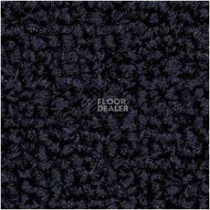 Ковровая плитка Tecsom 3580 db 079 фото 1 | FLOORDEALER