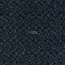 Desso Protect 9021 фото 1 | FLOORDEALER