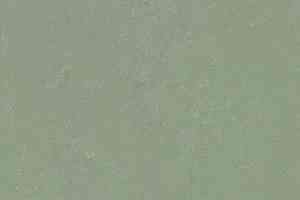 Линолеум Forbo Marmoleum Solid Concrete 3750 pine forest фото  | FLOORDEALER