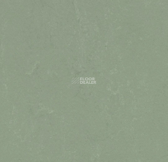 Forbo Marmoleum Solid Concrete 3750 pine forest фото 1 | FLOORDEALER