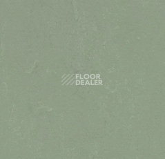 Линолеум Forbo Marmoleum Solid Concrete 3750 pine forest фото 1 | FLOORDEALER