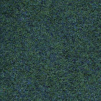 Ковролин Finett 11 6611 фото 1 | FLOORDEALER