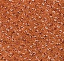 Ковролин Infloor Cayenne 710 фото 1 | FLOORDEALER