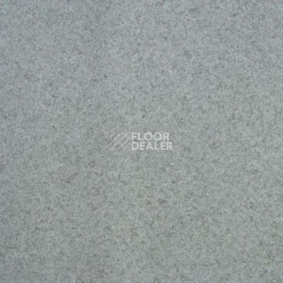 Линолеум Lg Calmpasso CP 93407 фото 1 | FLOORDEALER