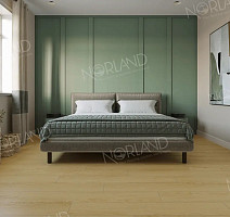 Norland Elegant Strong 12мм Дуб Элмер LF302-08 фото 4 | FLOORDEALER