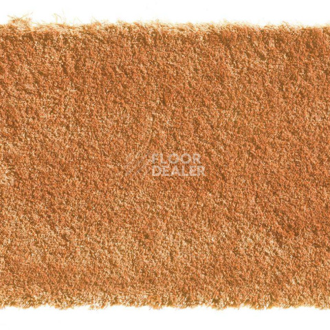 Ковролин ITC Bold Indulgence Bold Indulgence 053 фото 1 | FLOORDEALER
