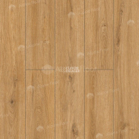 Classen Arteo 8 M 62752 Дуб Хамра фото 4 | FLOORDEALER