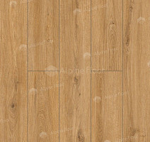 Classen Arteo 8 M 62752 Дуб Хамра фото 4 | FLOORDEALER