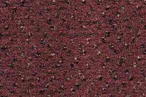 Ковровая плитка Desso Trapez 2127 фото  | FLOORDEALER