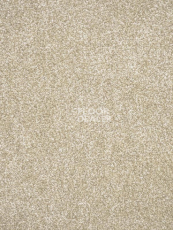 Ковролин AW Tribeca 35 фото 1 | FLOORDEALER