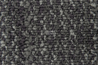 City 2009-09 фото 2 | FLOORDEALER