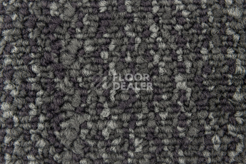 Neuflor City 2009-09 фото 2 | FLOORDEALER