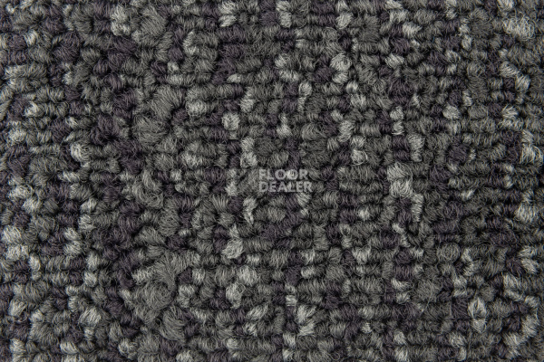 City 2009-09 фото 2 | FLOORDEALER