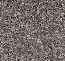 Ковролин AW Gala Equator 98 фото 1 | FLOORDEALER