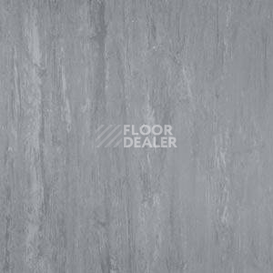 Линолеум Polyflor Xl Pu 3720 фото 1 | FLOORDEALER