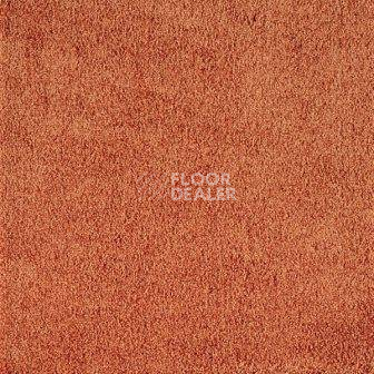 Ковролин Big Vivaldi 956 фото 1 | FLOORDEALER